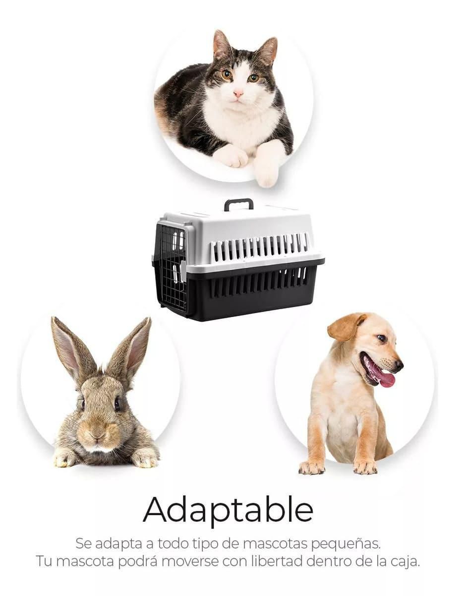 Casa para Perro y Gato - Image 3