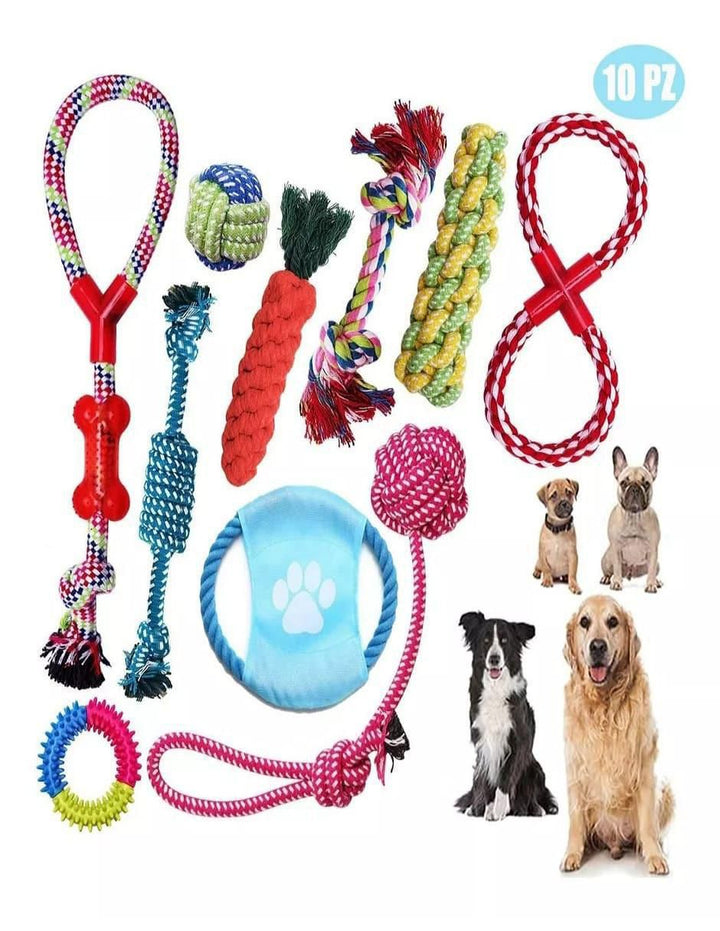 Kit de Juguetes para Perro 9 Piezas - Image 3