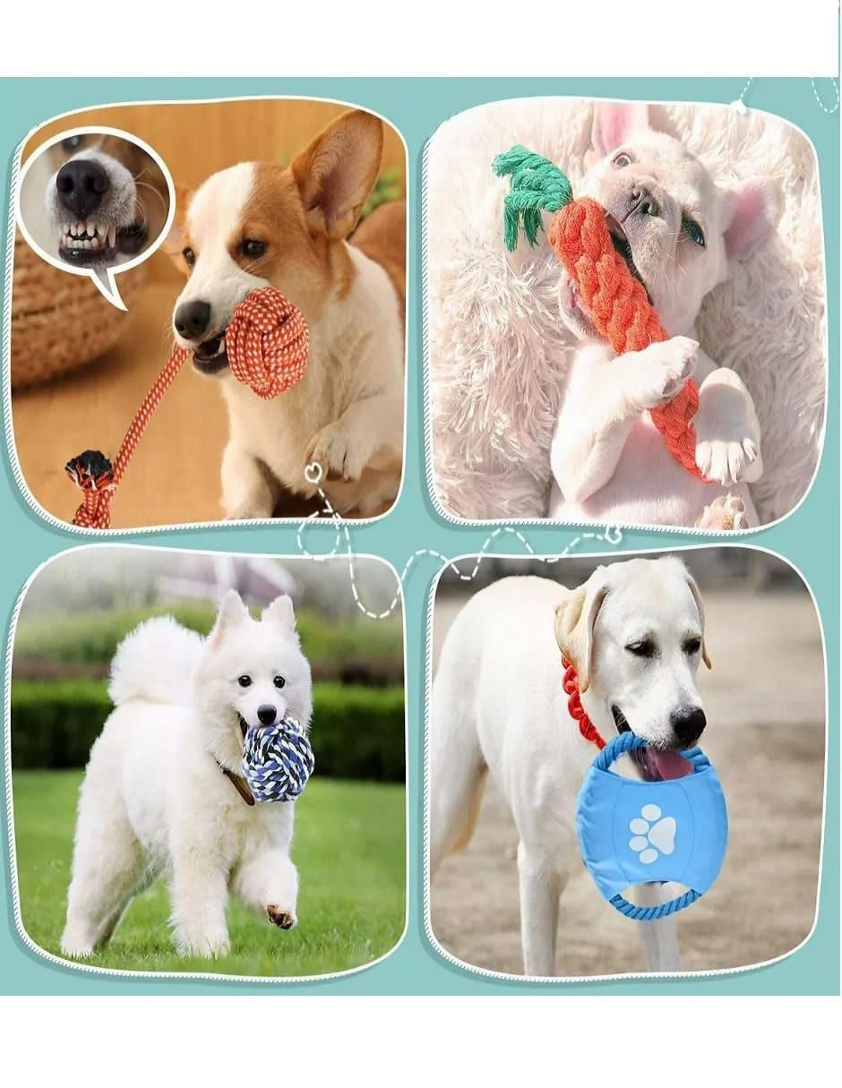 Kit de Juguetes para Perro 9 Piezas - Image 4