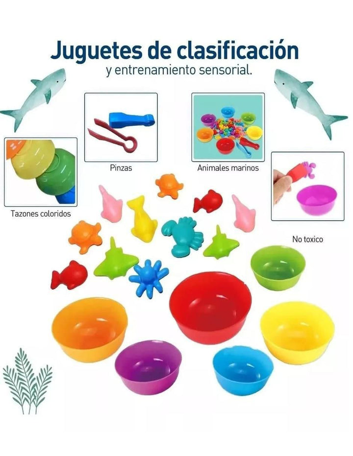 Juego Matemáticas Conteo Arcoíris 36 Piezas - Image 3