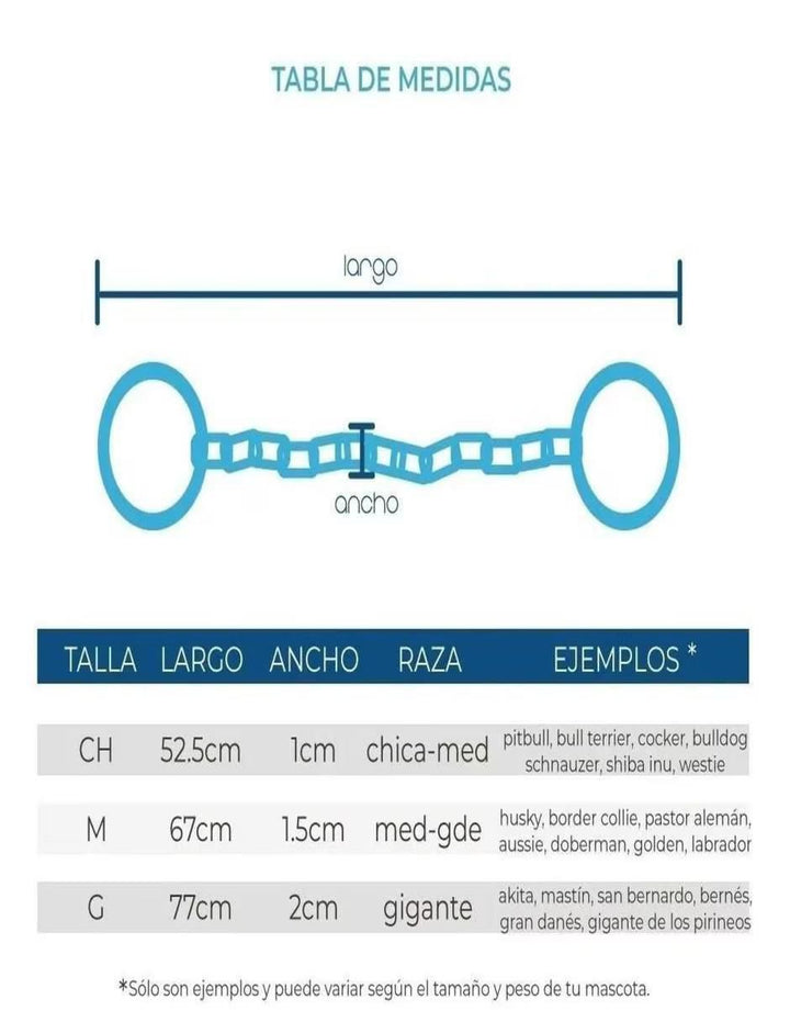 Collar de Acero Inoxidable para Perro - Image 3