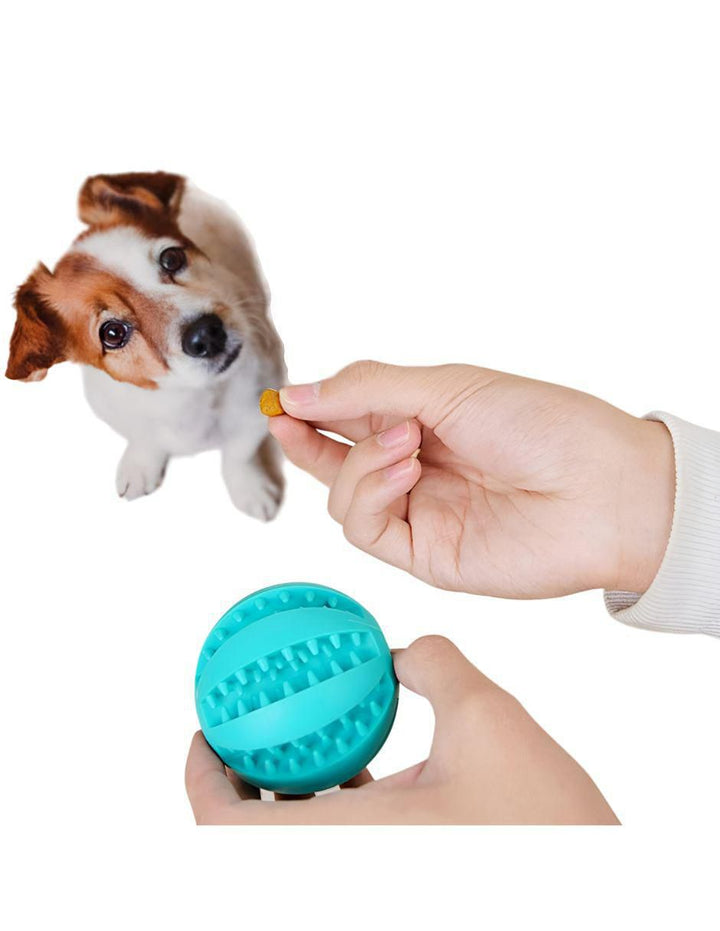 Pelotas para Perro con Dispensador 6pzs - Image 2