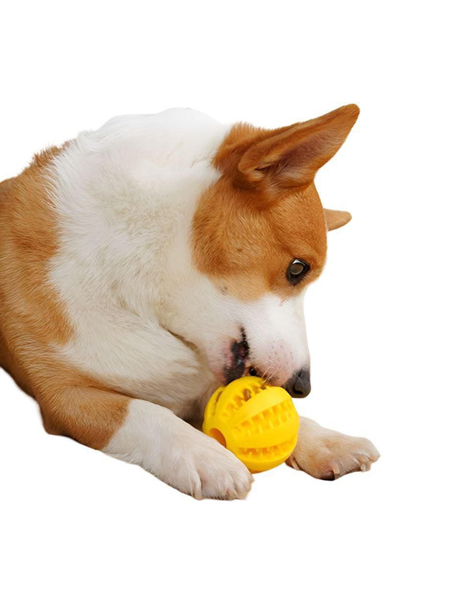 Pelotas para Perro con Dispensador 6pzs - Image 3