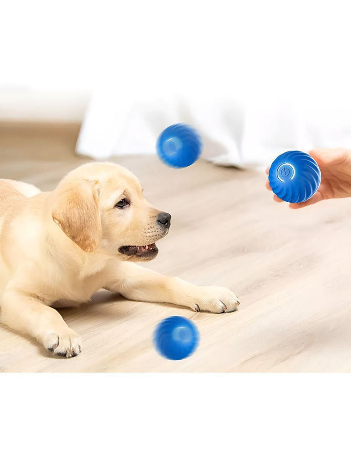 Pelota Interactiva para Perro Inteligente - Image 2
