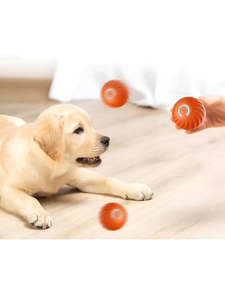 Pelota Interactiva para Perro Inteligente - Image 2