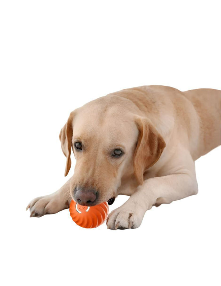 Pelota Interactiva para Perro Inteligente - Image 3