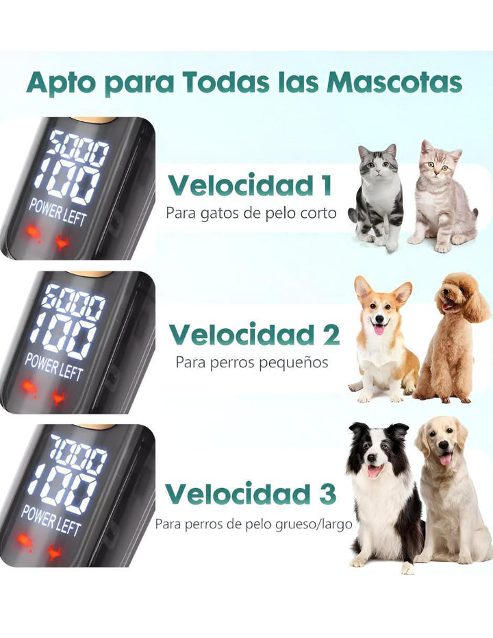 Rasuradora para Perro y Gato Negro - Image 5