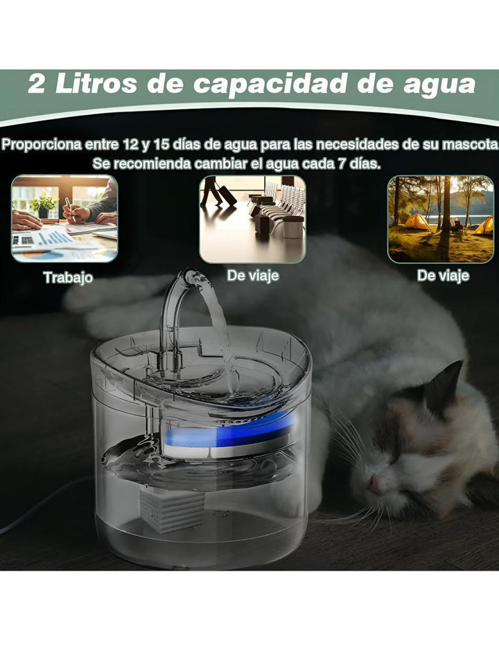 Bebedero Automático para Gato 2L - Image 3