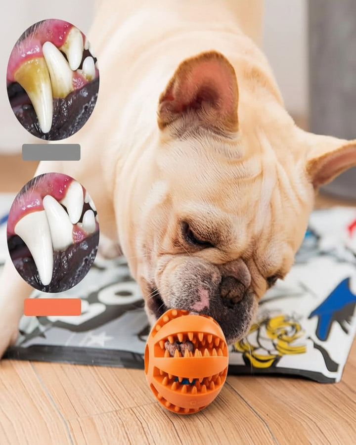 Pelota para Perro Azul 7cm - Image 3