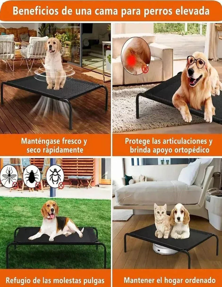Cama para Perro Elevada Fresca 15cm - Image 2