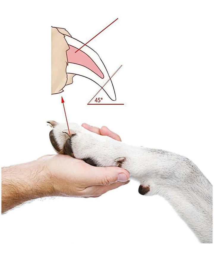 Cortaúñas con Protector de Seguridad para Perro y Gato - Image 3