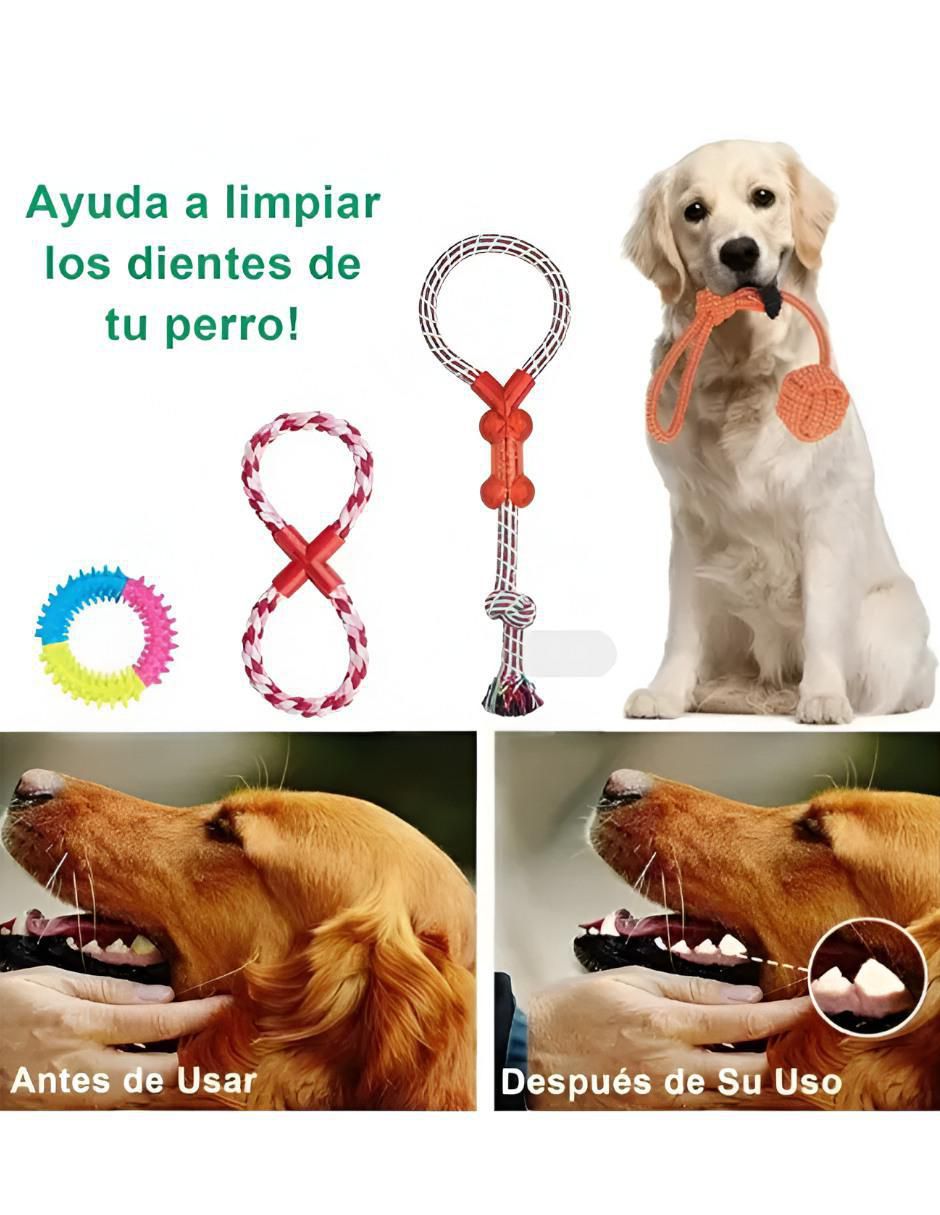 Kit de Juguetes de Cuerda 10 Piezas - Image 2
