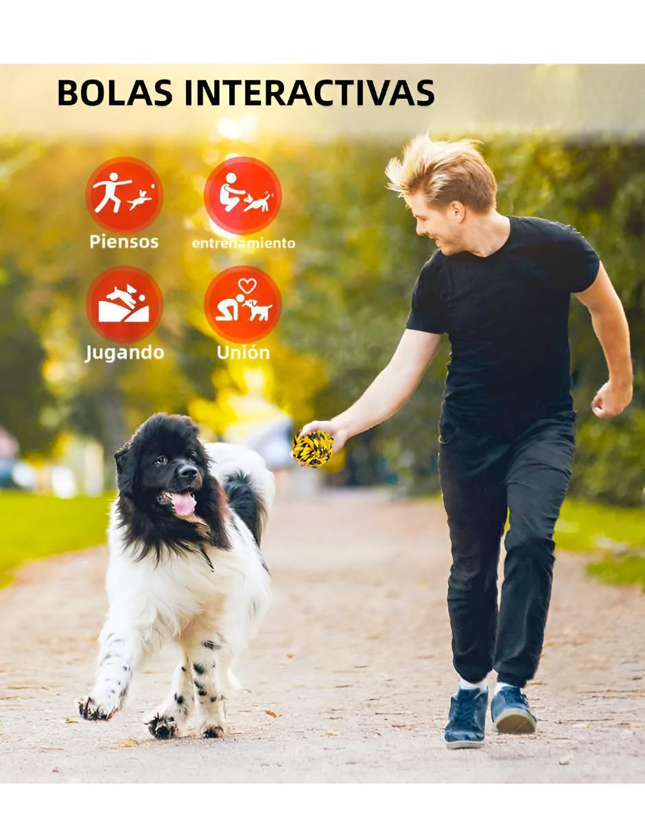 Set de 6 Pelotas para Perro Algodón Resistente - Image 3