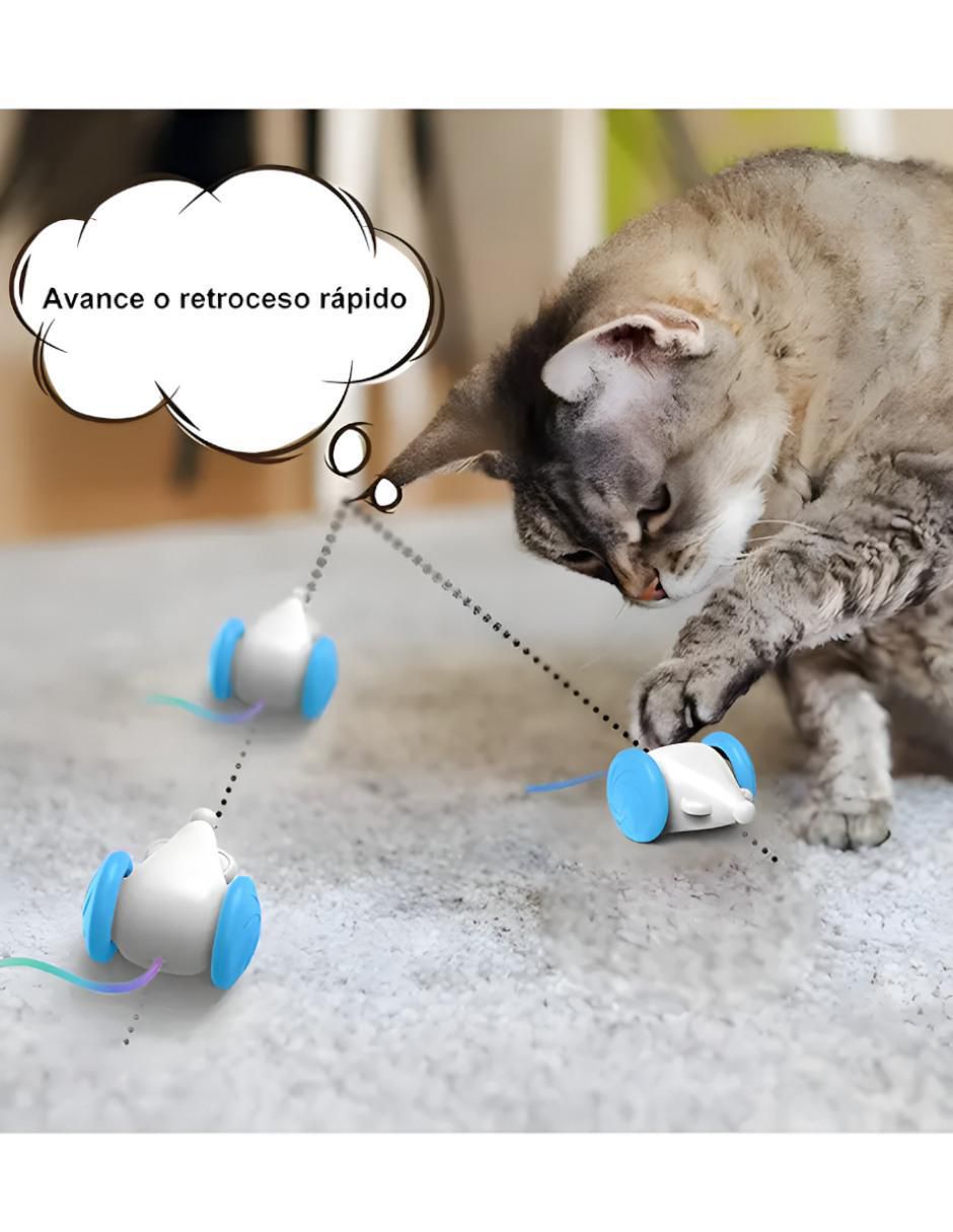 Juguete Interactivo para Gato con Luces - Image 3