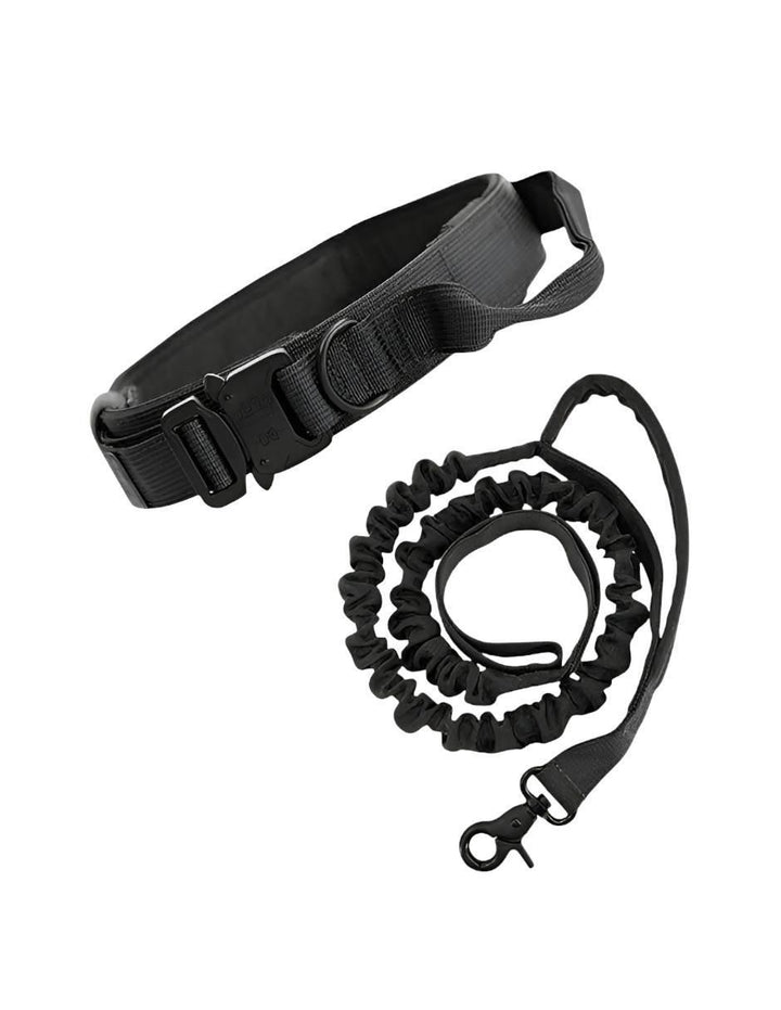 Collar para Perro - Image 1