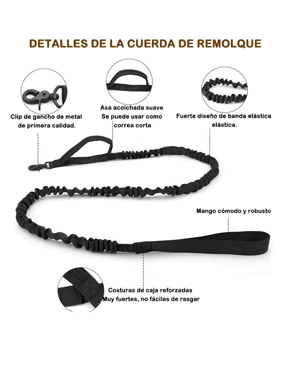 Collar para Perro - Image 3