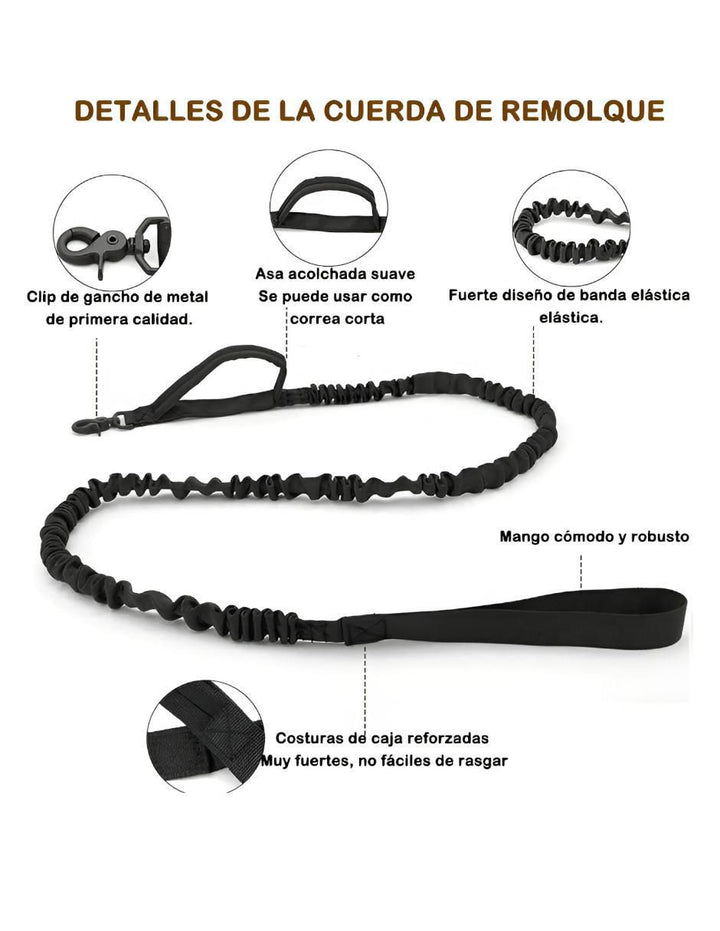 Collar para Perro - Image 3