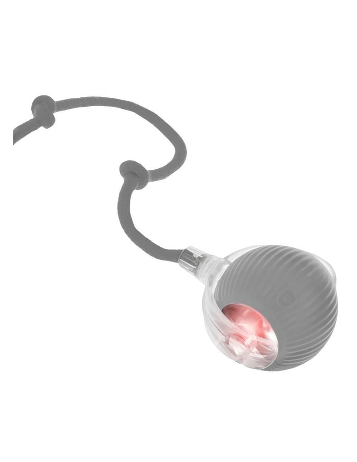 Pelota Interactiva para Gato y Perro 360° - Image 1