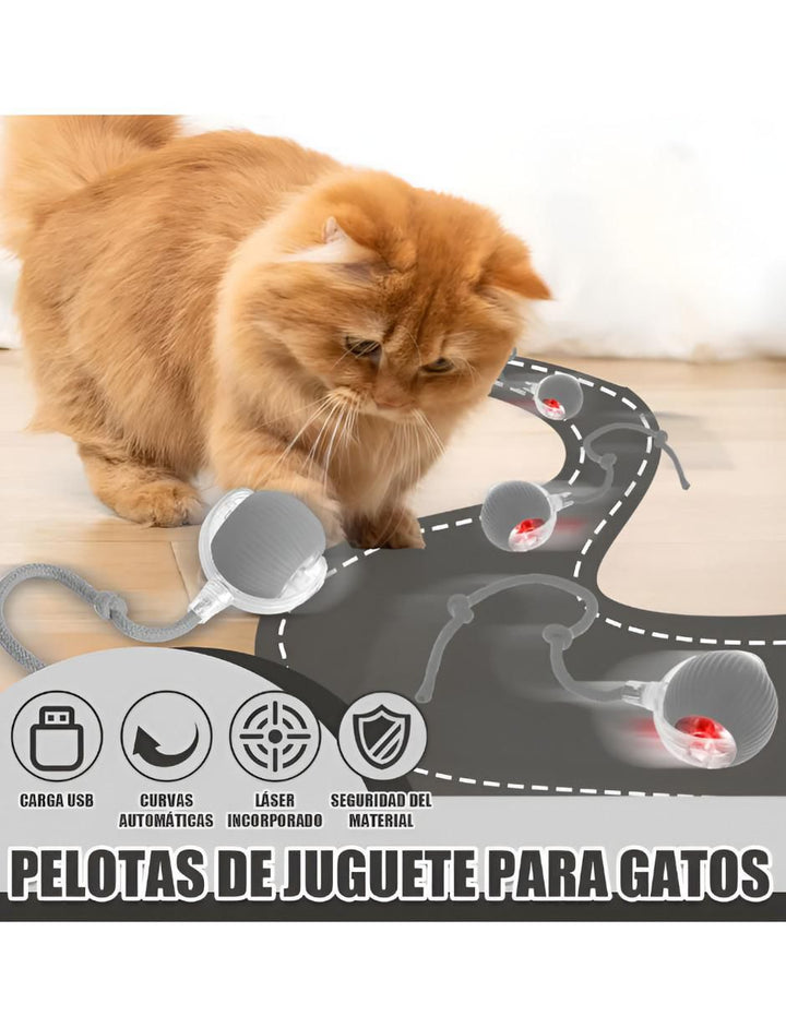 Pelota Interactiva para Gato y Perro 360° - Image 2