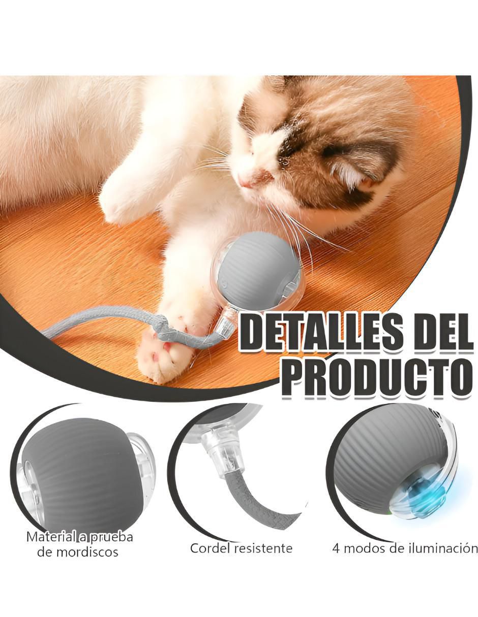 Pelota Interactiva para Gato y Perro 360° - Image 3