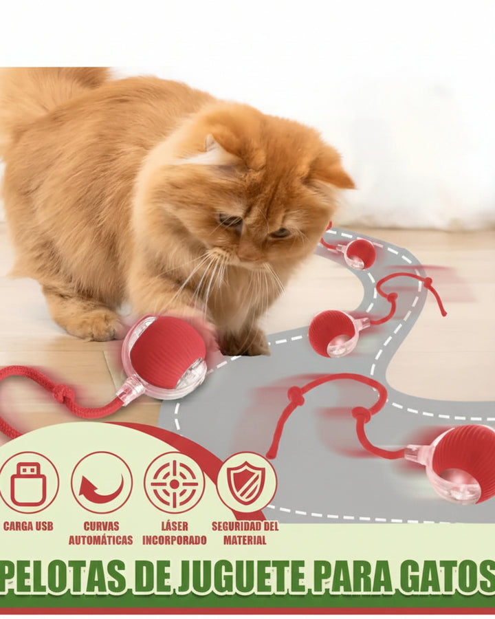 Juguete Interactivo para Gato - Image 2