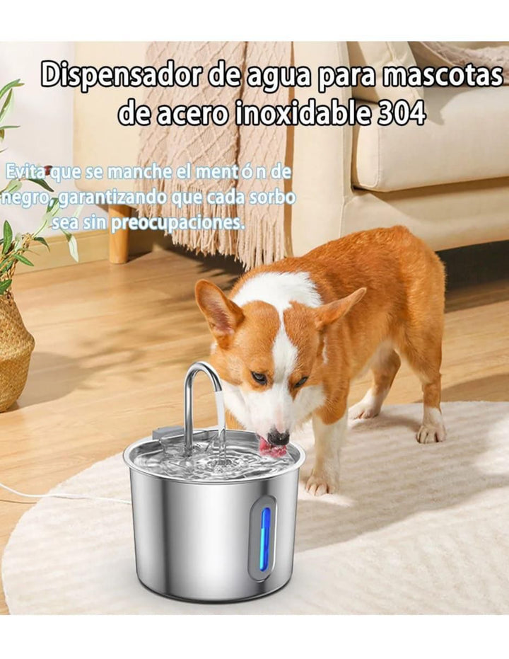 Bebedero Transparente Perro Gato 2L - Image 3