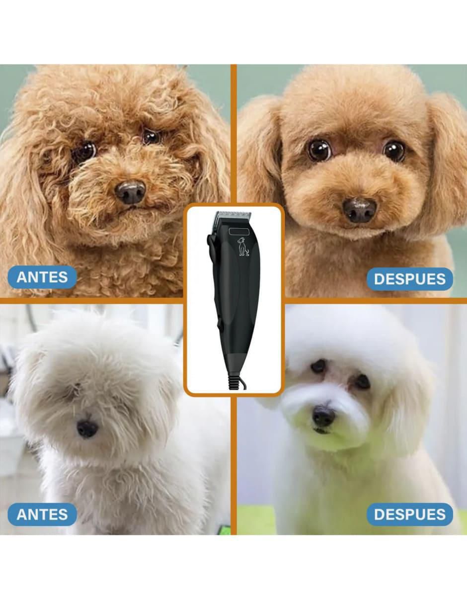 Rasuradora Mascotas Ergonomica - Image 3