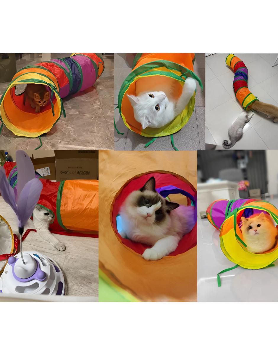 Juguete Interactivo para Gato Plástico - Image 2