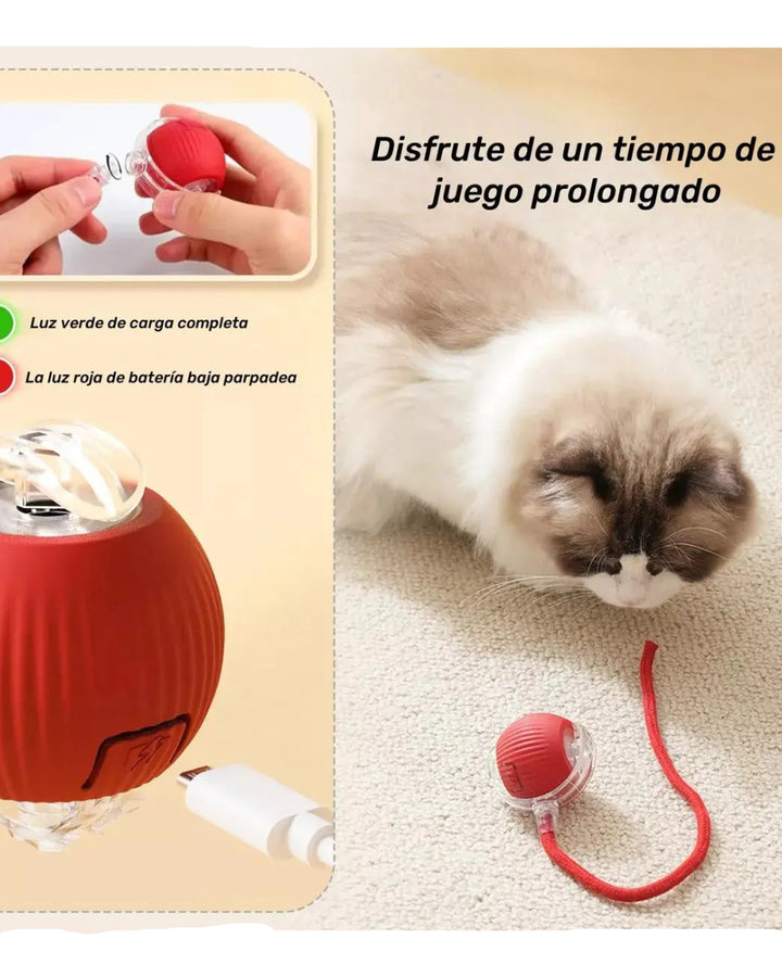 Juguete Interactivo para Gato