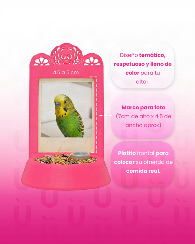 Portarretratos Para Tu Mascota